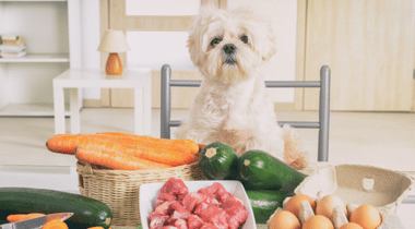 pet_food_study cases